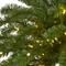 5ft. Pre-Lit Palm Artificial Christmas Tree, Warm White LED Lights